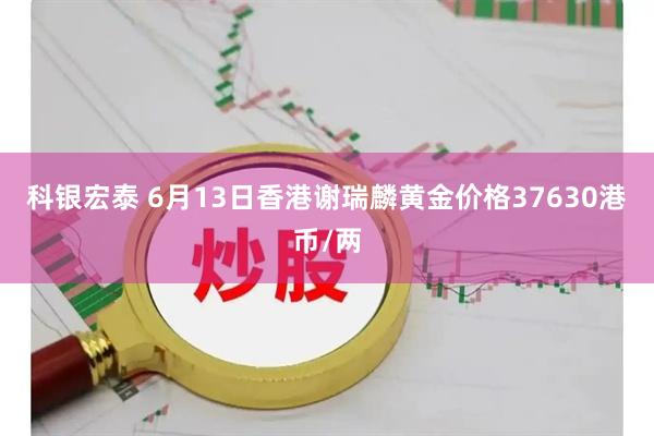 科银宏泰 6月13日香港谢瑞麟黄金价格37630港币/两