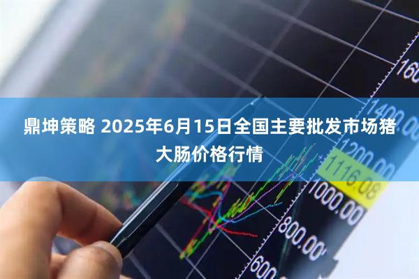 鼎坤策略 2025年6月15日全国主要批发市场猪大肠价格行情