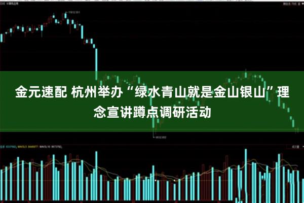金元速配 杭州举办“绿水青山就是金山银山”理念宣讲蹲点调研活动