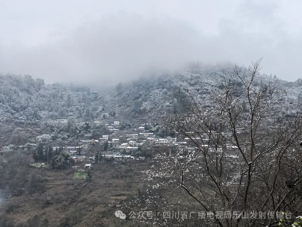 上上策 视听四川 百部川扬 | 驻村帮扶故事 云端彝寨三“路”记