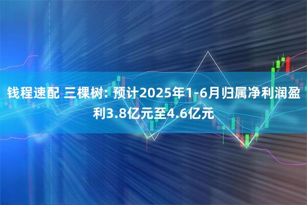 钱程速配 三棵树: 预计2025年1-6月归属净利润盈利3.8亿元至4.6亿元