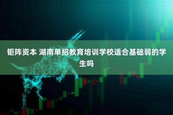 钜阵资本 湖南单招教育培训学校适合基础弱的学生吗